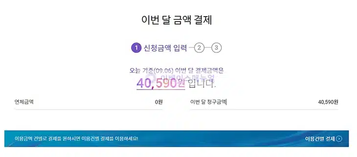 롯데카드 즉시결제(선결제) 3가지 방법과 주의사항 총정리 시간, 이중출금 등