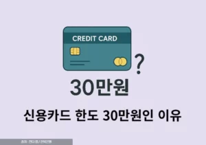 신용카드 한도 30만원 너무 낮은 이유는 올리는 방법