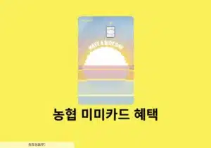 NH농협 미미카드 혜택 총정리 쌀 구독 + 아침밥 할인까지