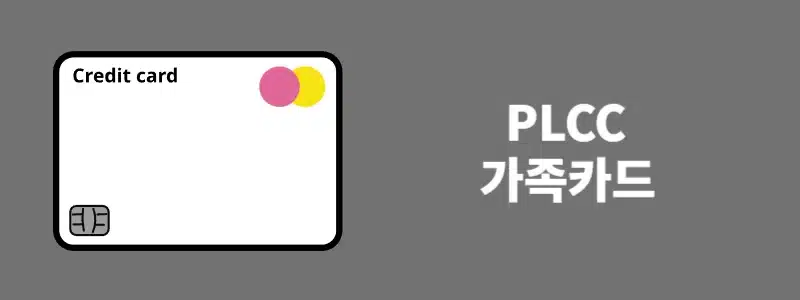 무직자 신용카드 발급 가능한곳과 방법 총정리 (대학생 20대 포함)
