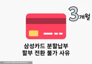 삼성카드 분할납부 왜 안되지 할부 전환 불가 사유 총정리