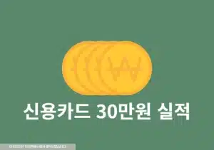 신용카드 30만원 실적 채우는 방법, 인정 및 제외 항목 정리