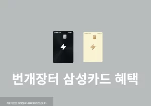 번개장터 삼성카드 혜택 정리, 번개포인트 추가 적립 프로모션