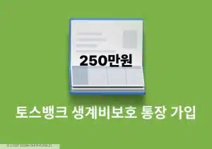 토스뱅크 생계비보호 통장 가입 방법과 혜택 정리 (압류 시 250만원 보호)