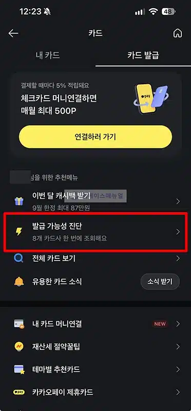 카드 발급 가능 조회 방법, 카카오페이 발급 가능성 진단하기