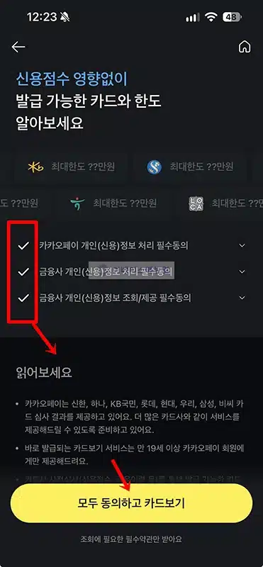 카드 발급 가능 조회 방법, 카카오페이 발급 가능성 진단하기